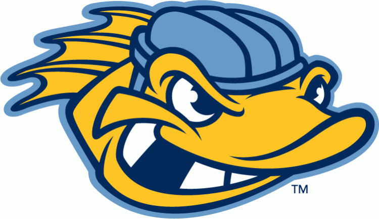 toledo walleye 2009-pres alternate logo v4 iron on heat transfer